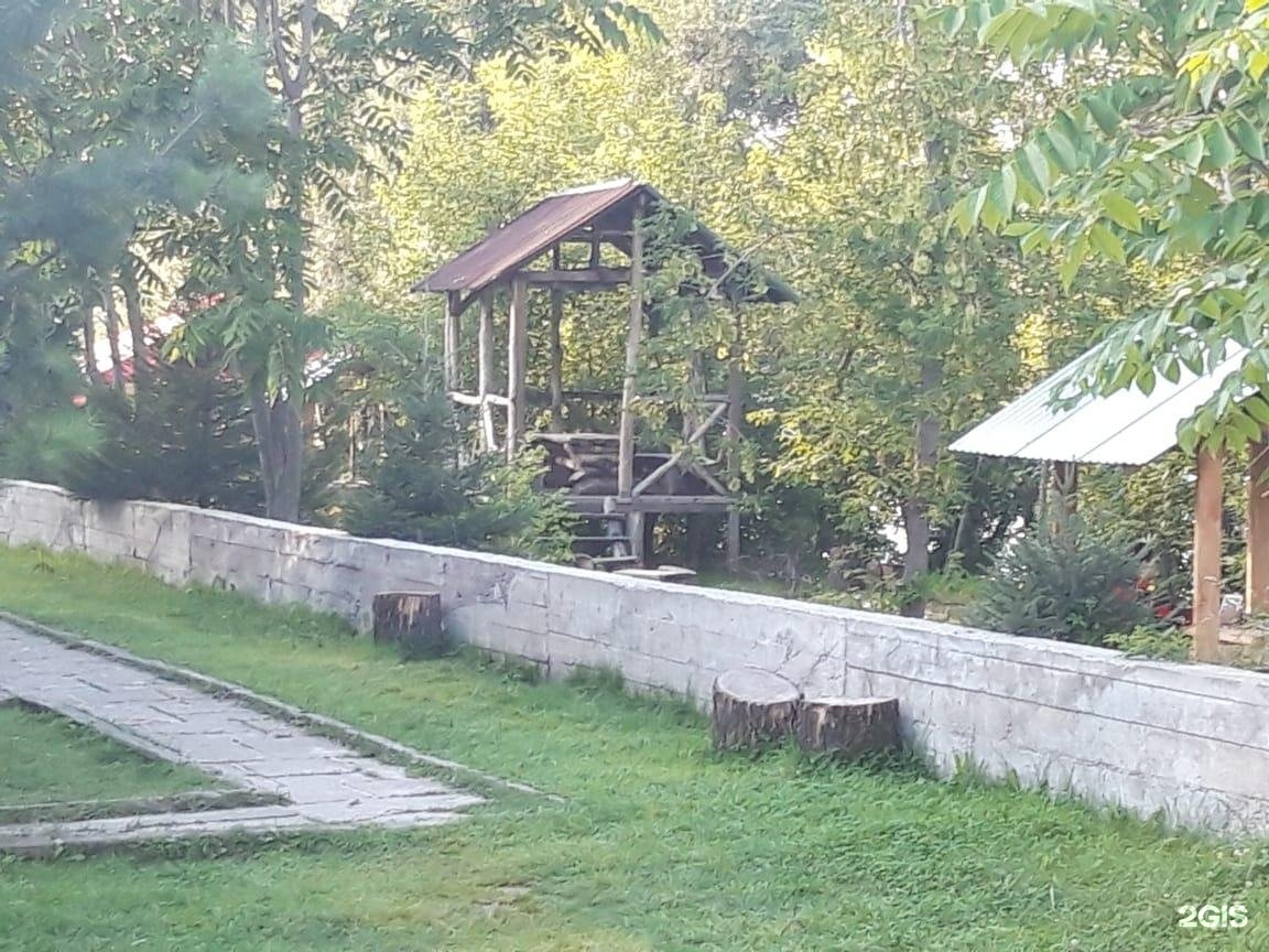 Колибри - фото 102