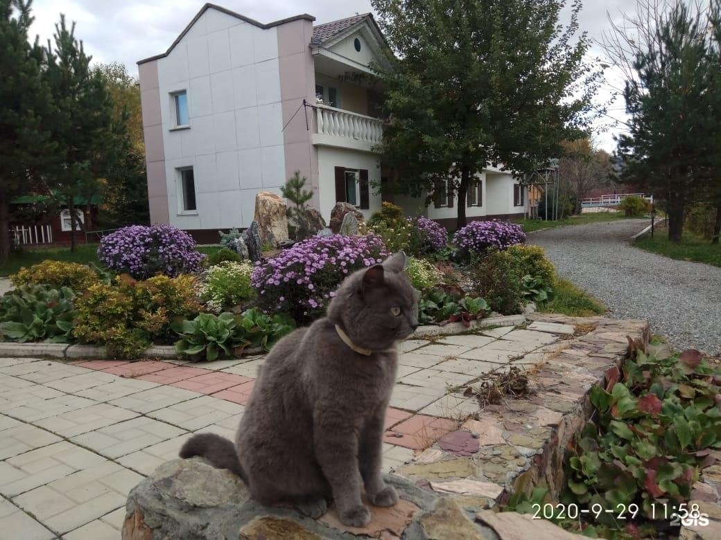 Колибри - фото 106