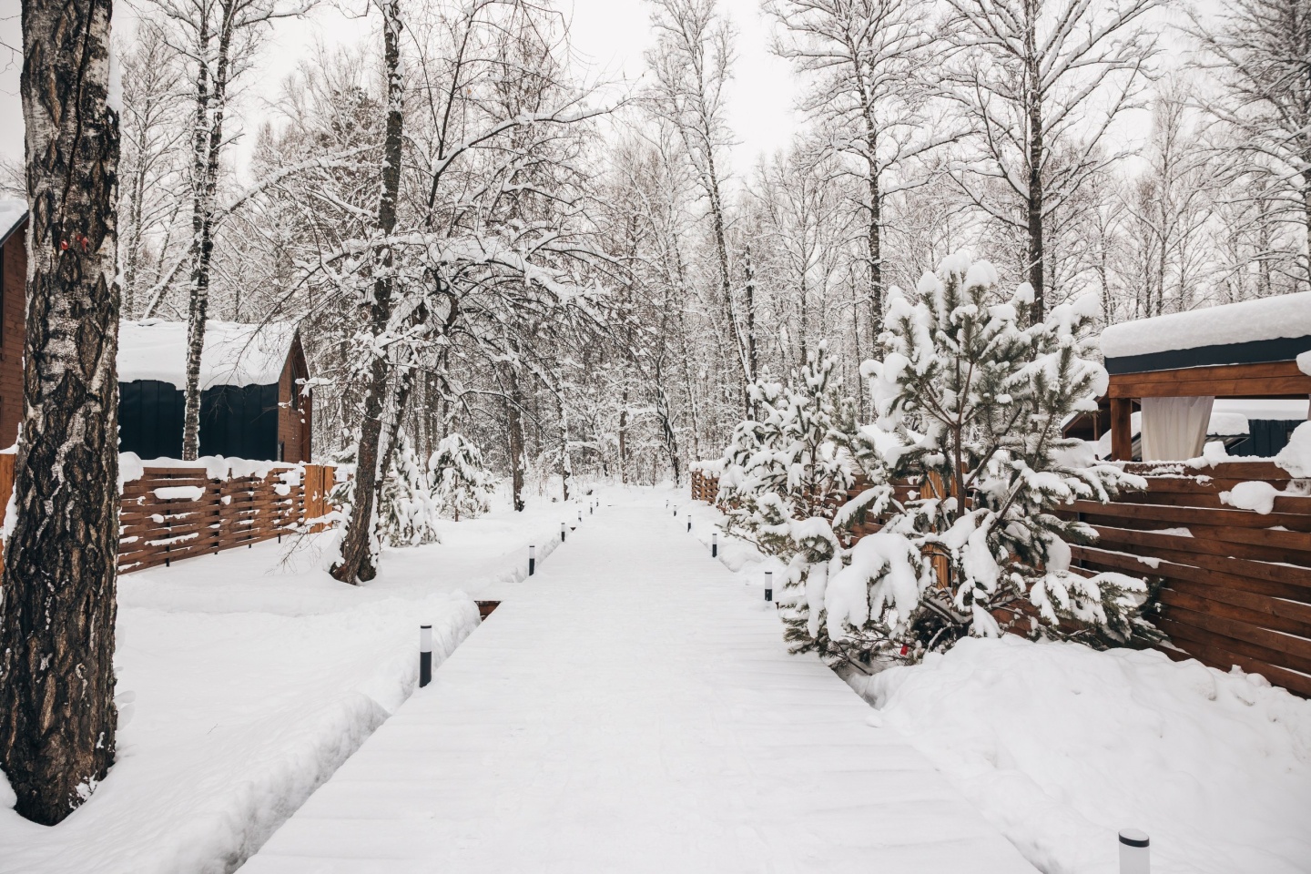 Айка - фото 14