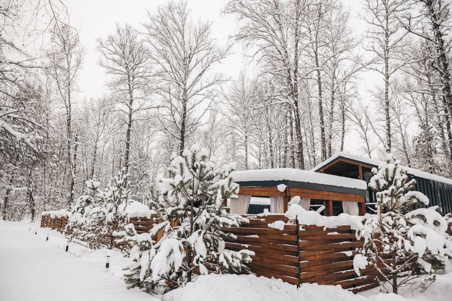 Айка - фото 46