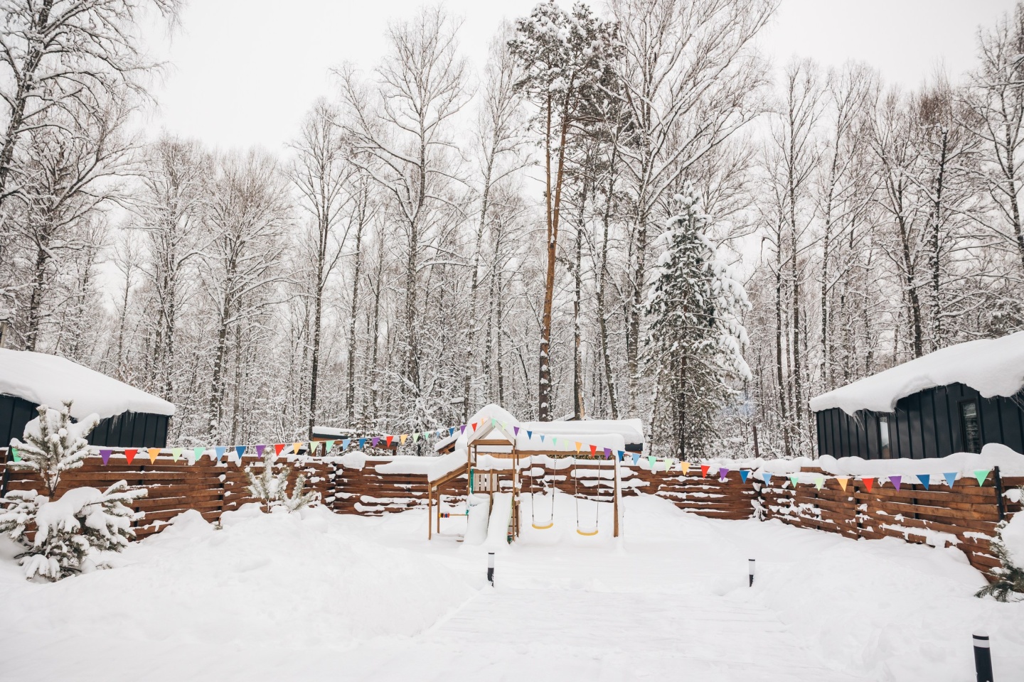 Айка - фото 47