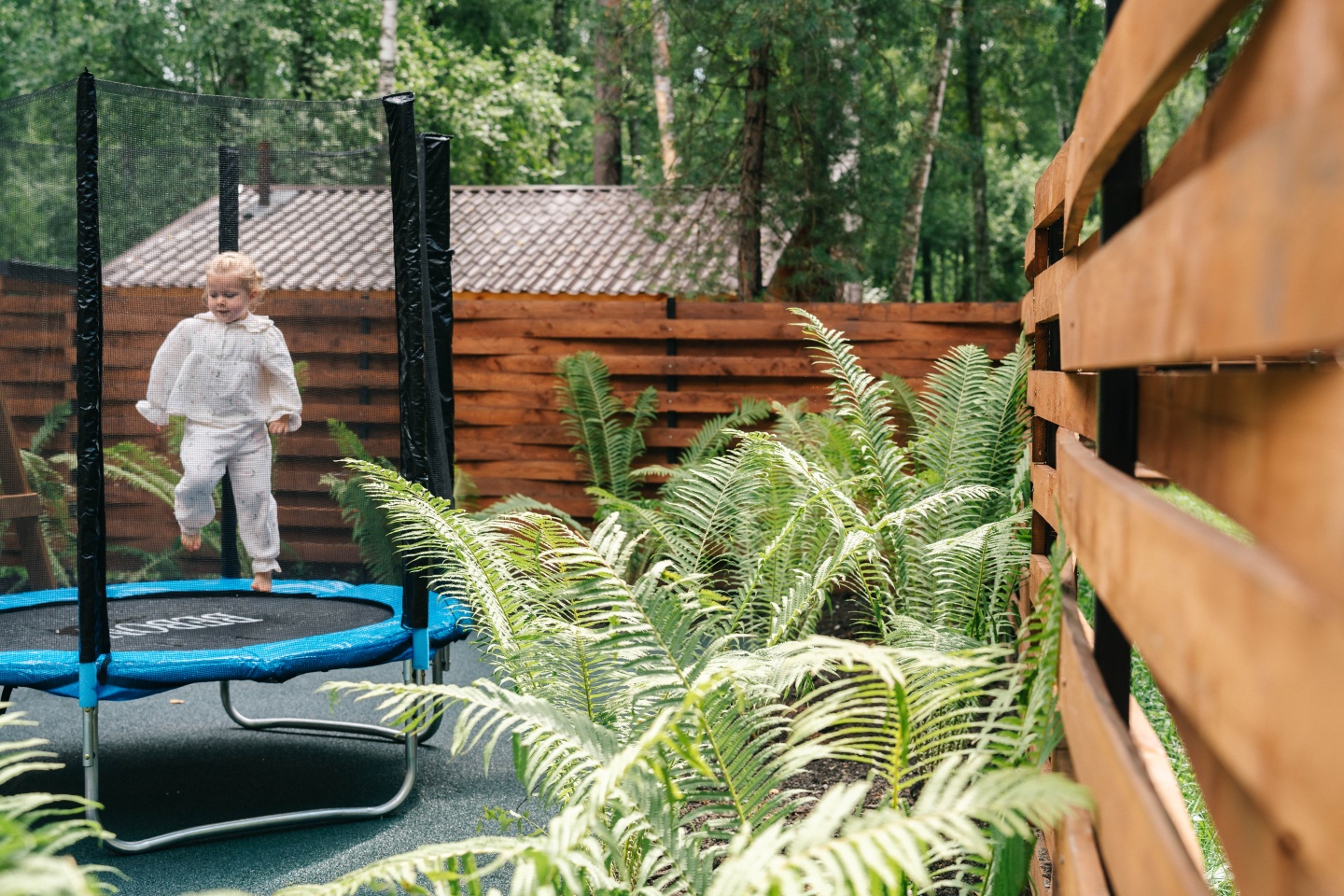 Айка - фото 52