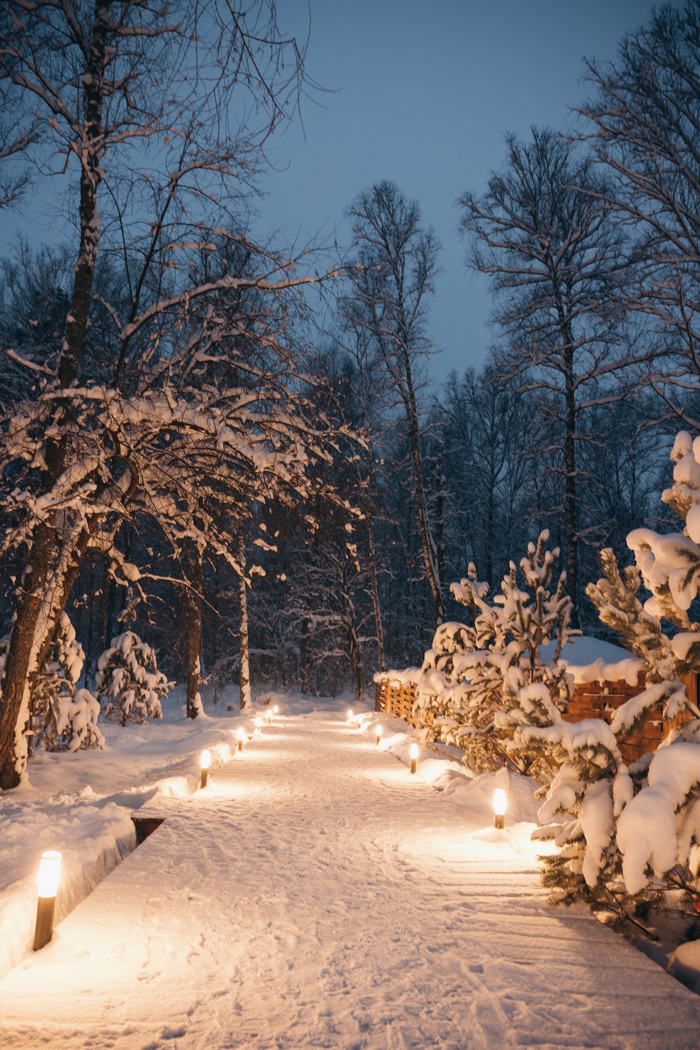 Айка - фото 59