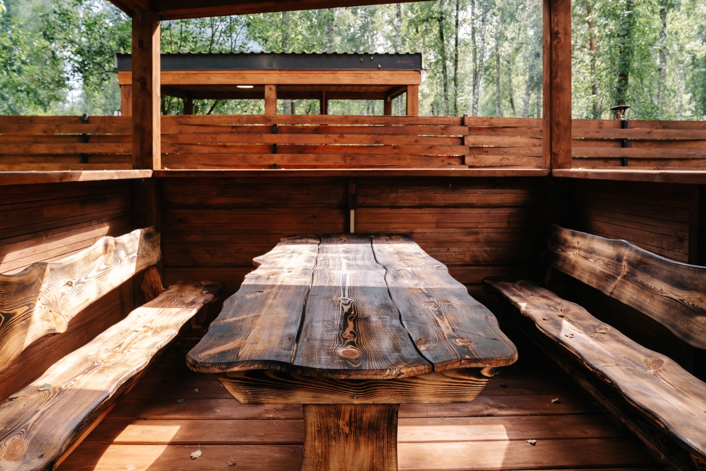 Айка - фото 70