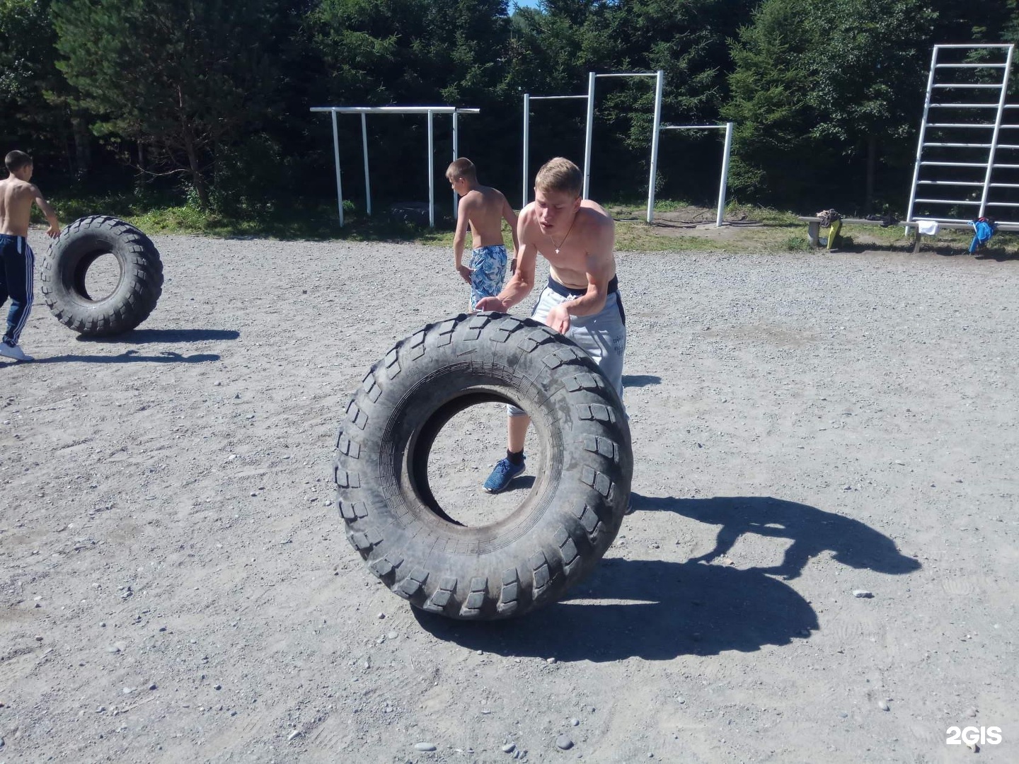 Колибри - фото 116