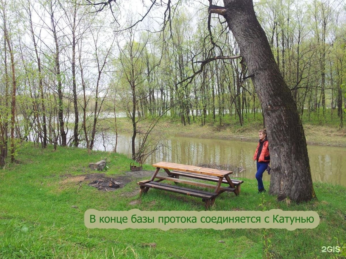 Колибри - фото 117