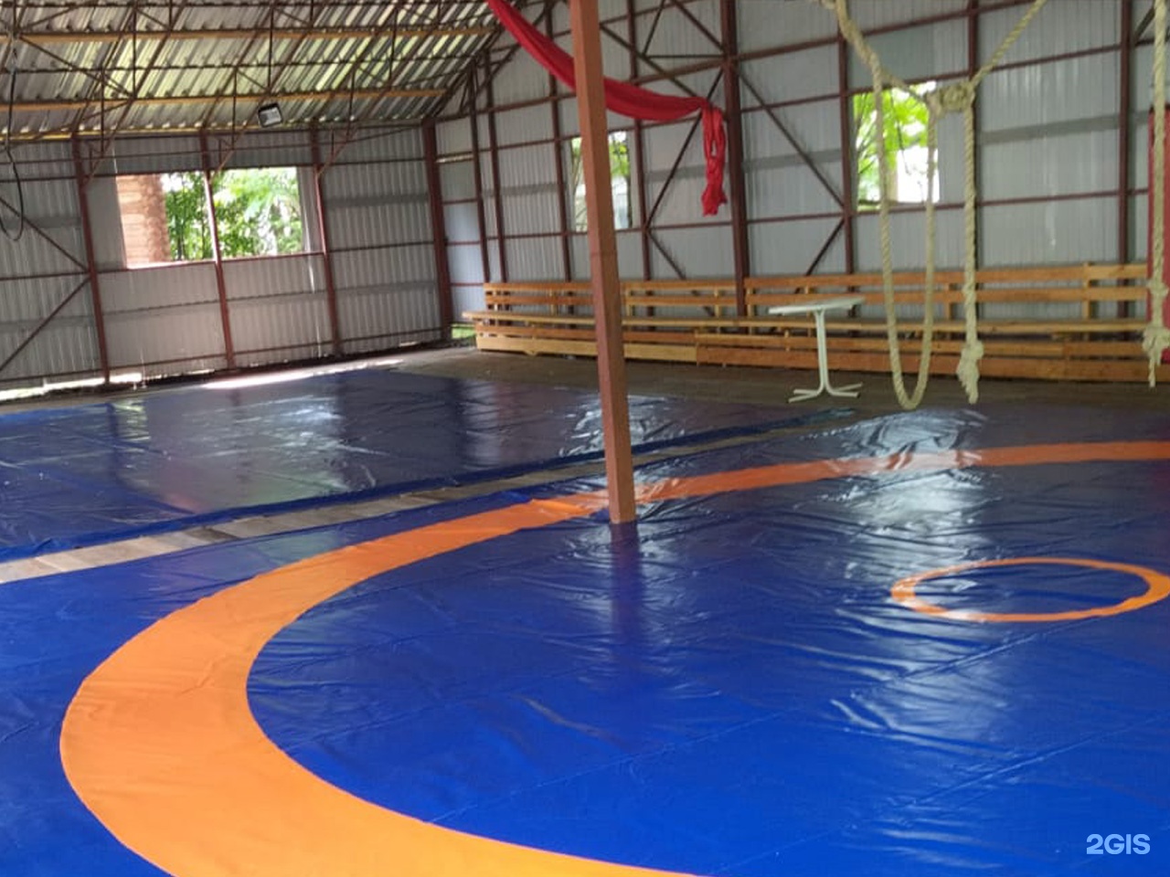 Колибри - фото 121