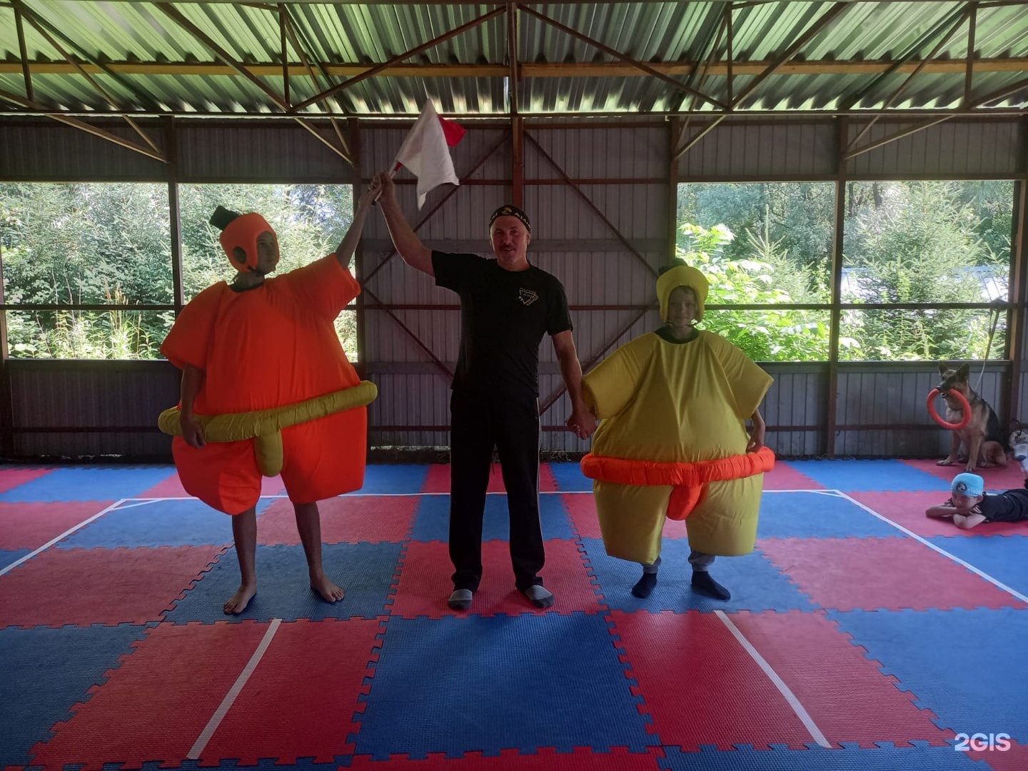 Колибри - фото 136