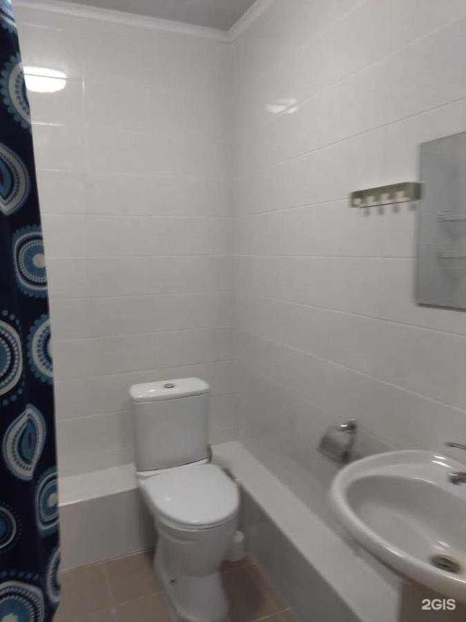 Колибри - фото 138