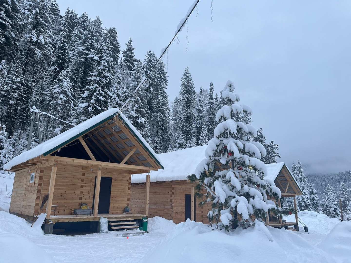 Еловый - фото 1