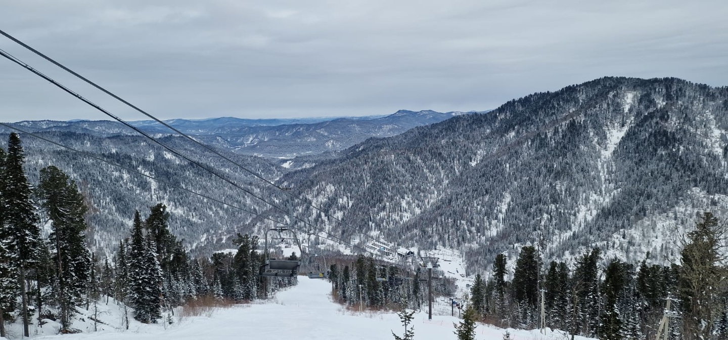 Еловый - фото 2