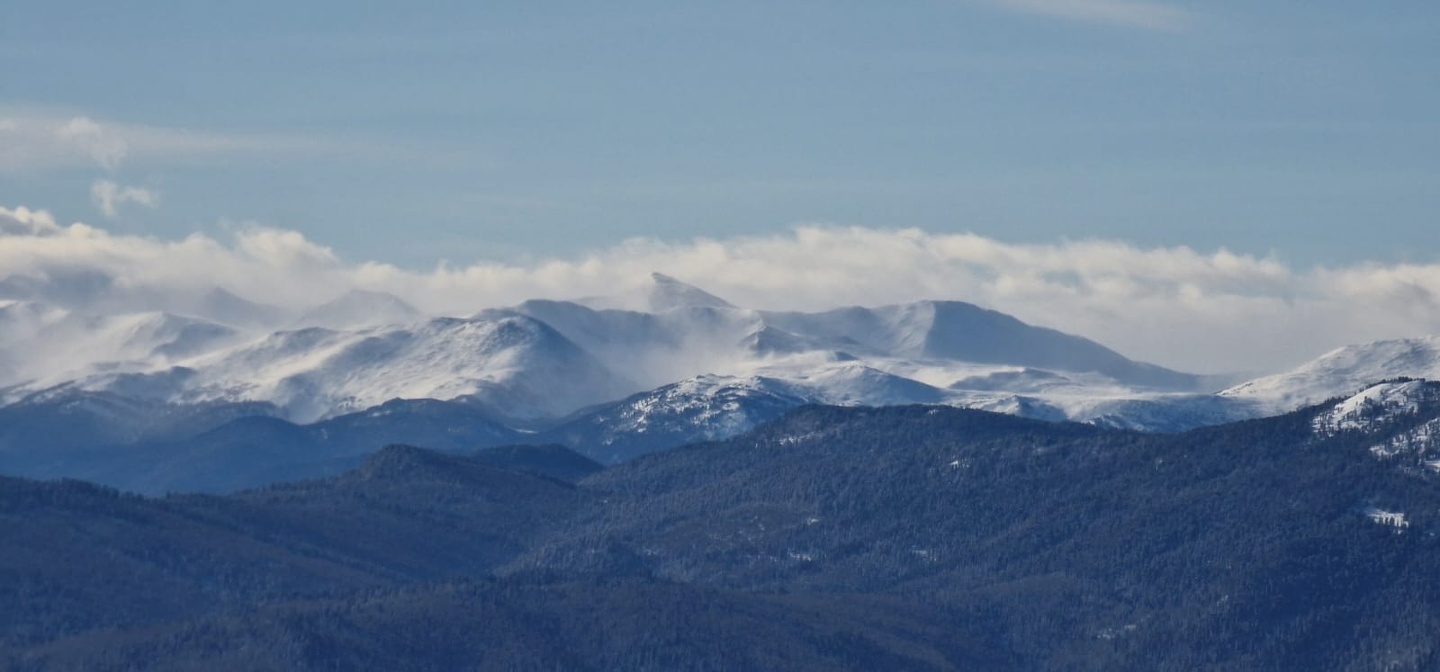 Еловый - фото 35