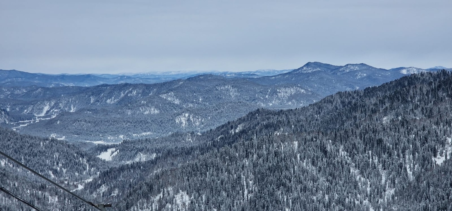 Еловый - фото 47