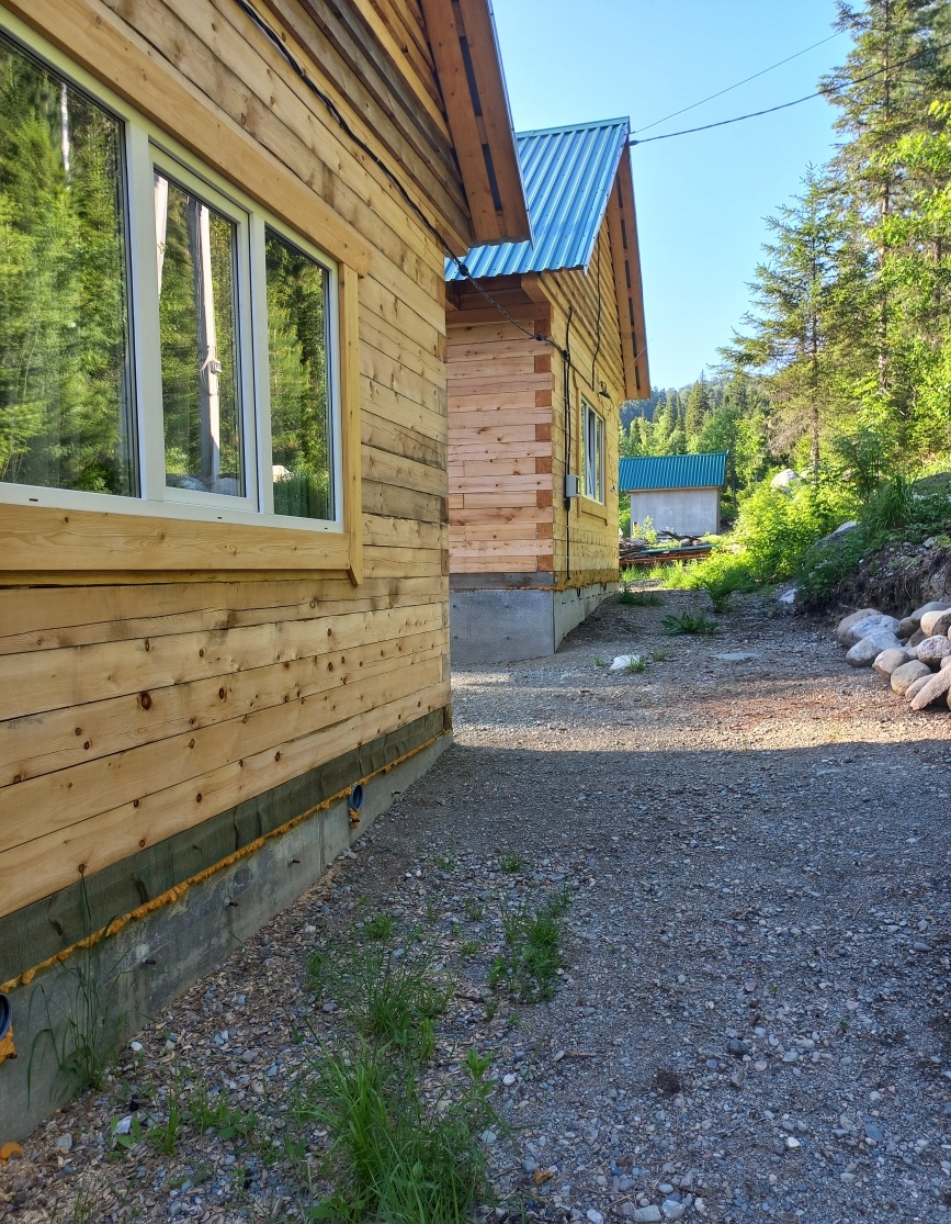 Еловый - фото 48