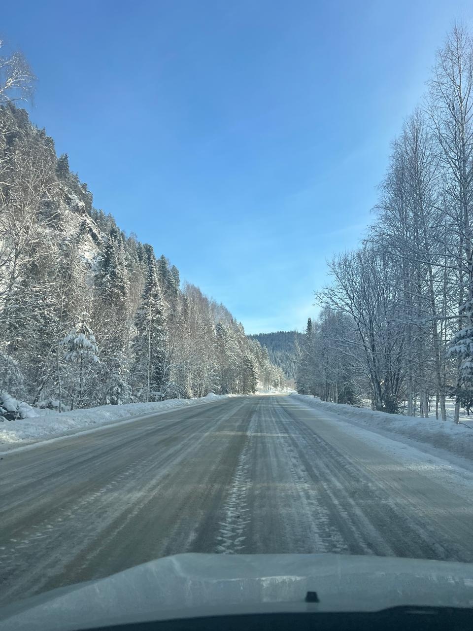 Еловый - фото 53