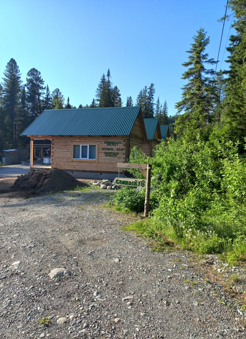 Еловый - фото 62