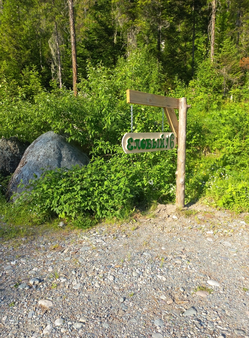 Еловый - фото 73