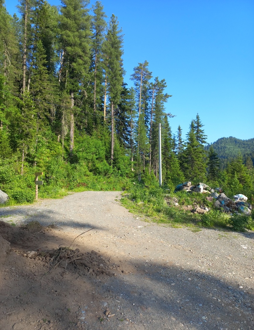 Еловый - фото 75