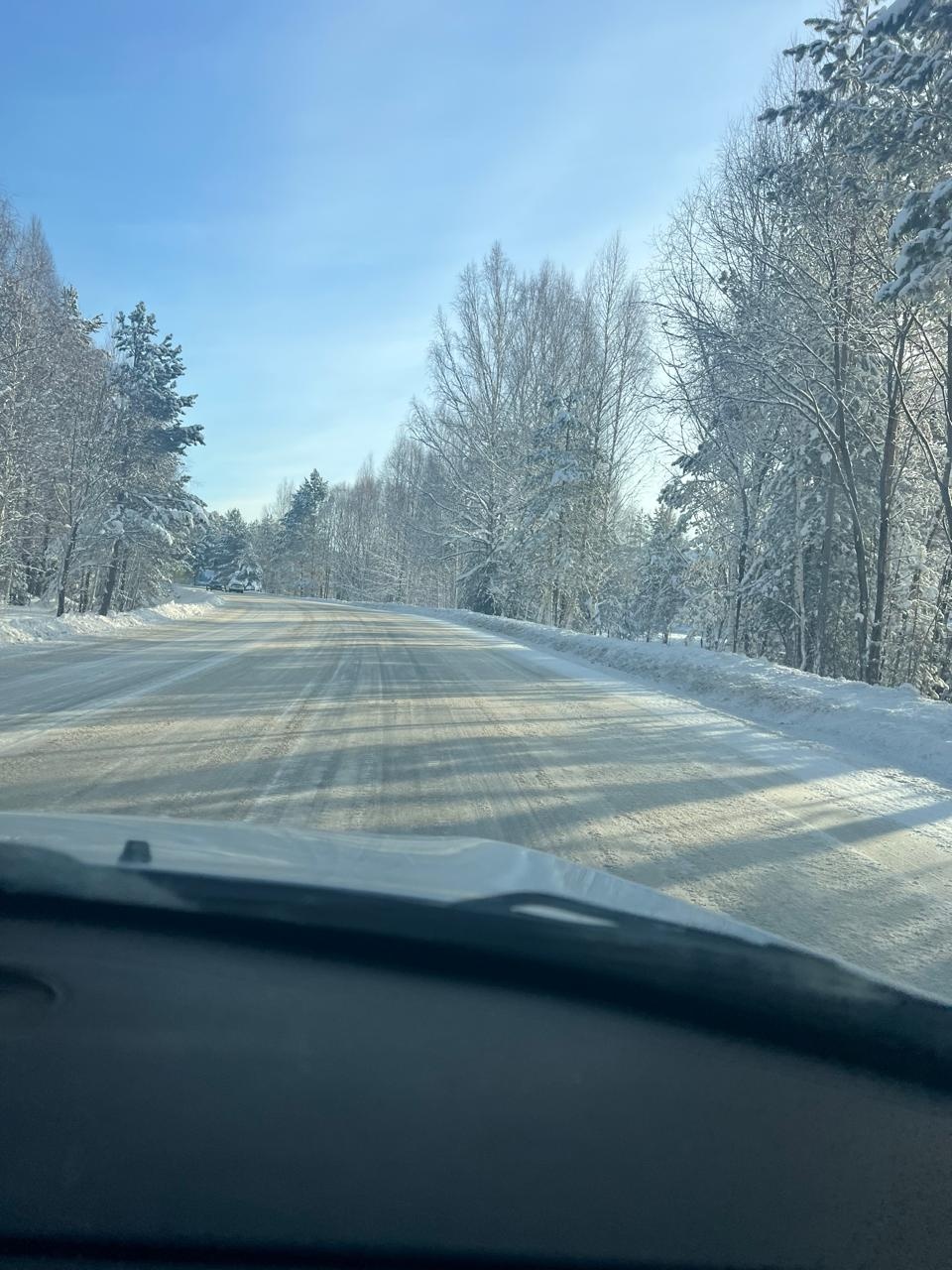 Еловый - фото 86