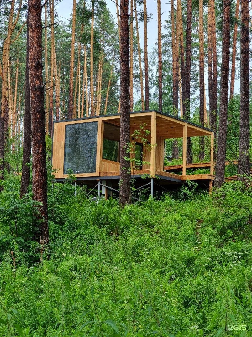 Август - фото 38