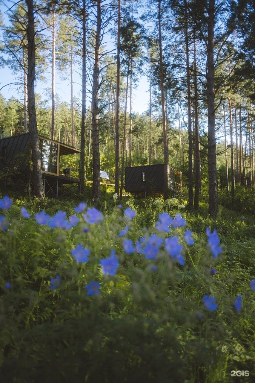 Август - фото 47