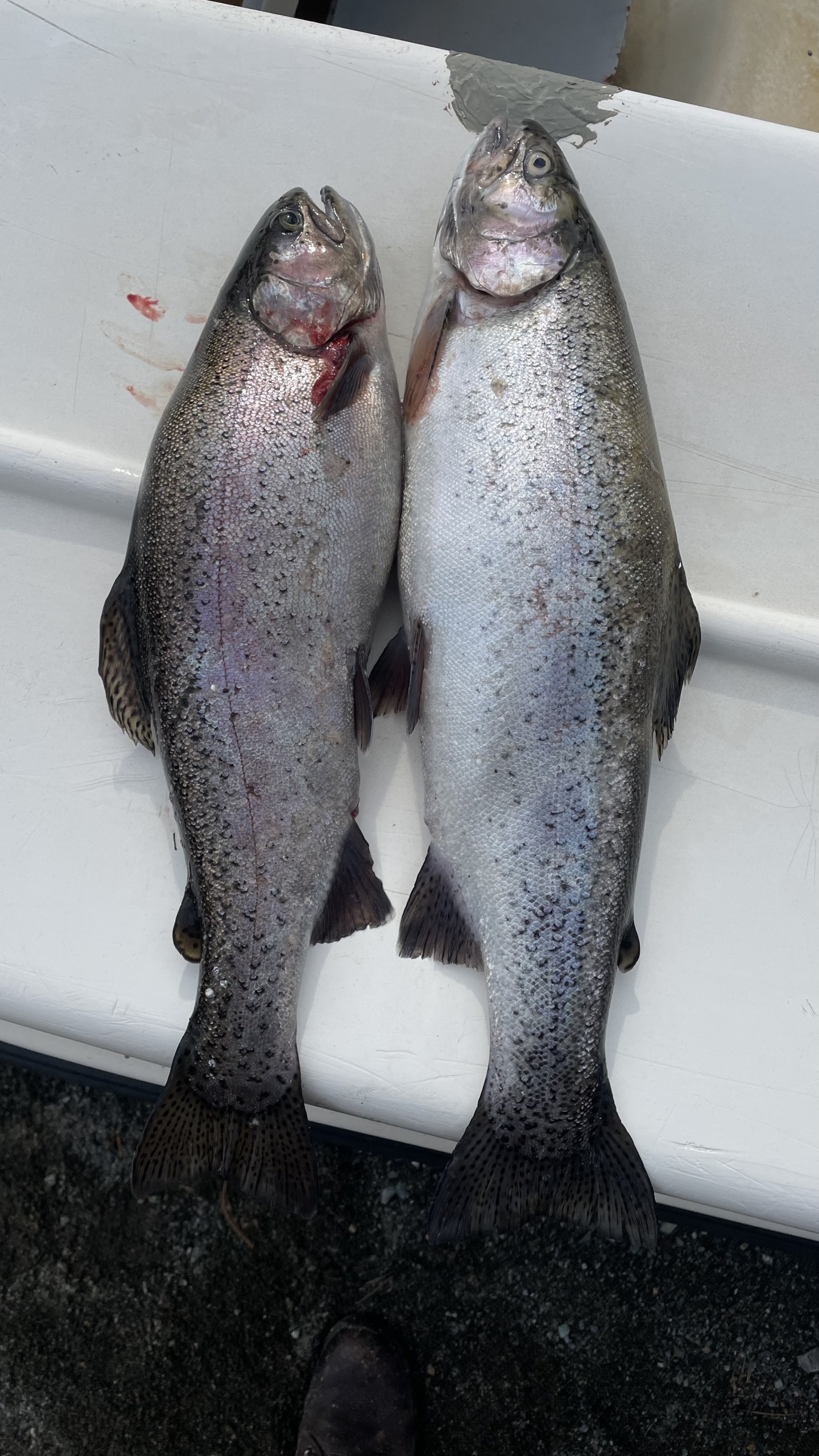 Апартаменты на 33-й км автодороги Акташ-Улаган, база отдыха Балыкту - фото 104