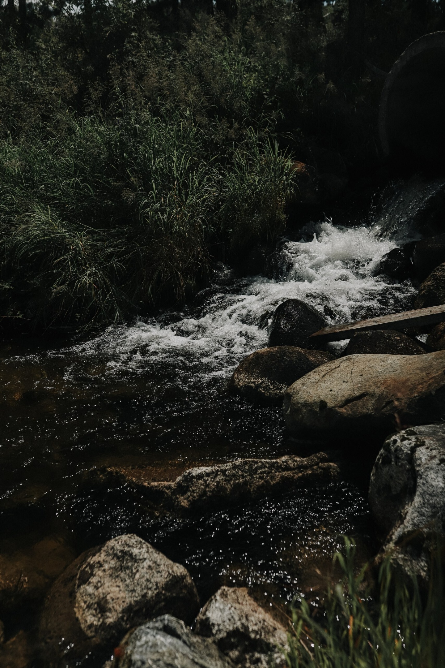 Апартаменты на 33-й км автодороги Акташ-Улаган, база отдыха Балыкту - фото 110