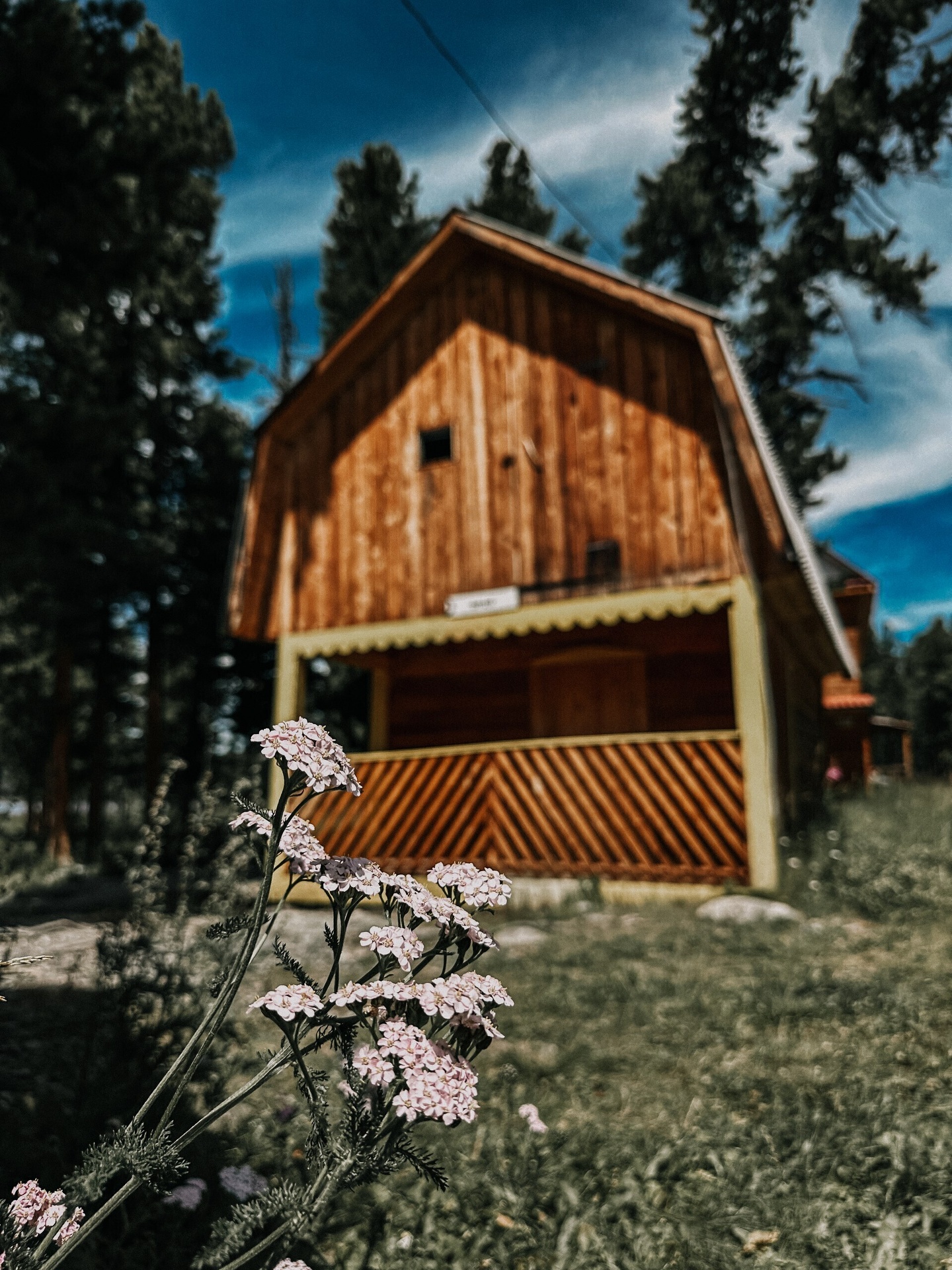 Апартаменты на 33-й км автодороги Акташ-Улаган, база отдыха Балыкту - фото 111