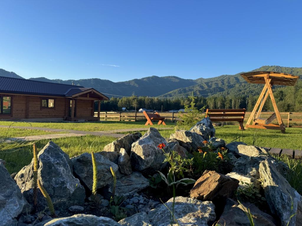 Корни - фото 5