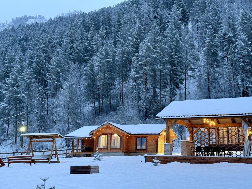 Корни - фото 10