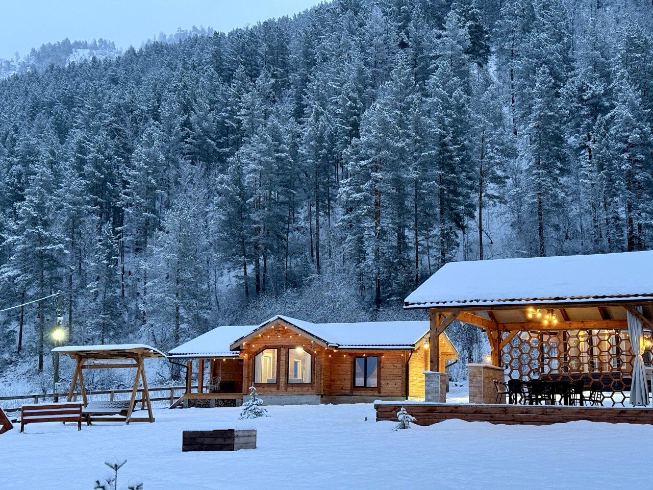 Корни - фото 10