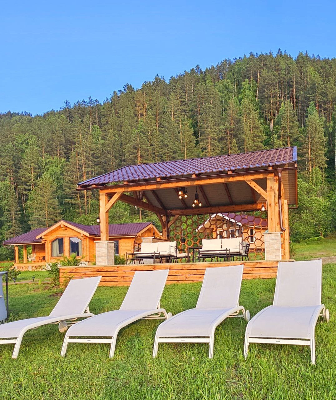 Корни - фото 14