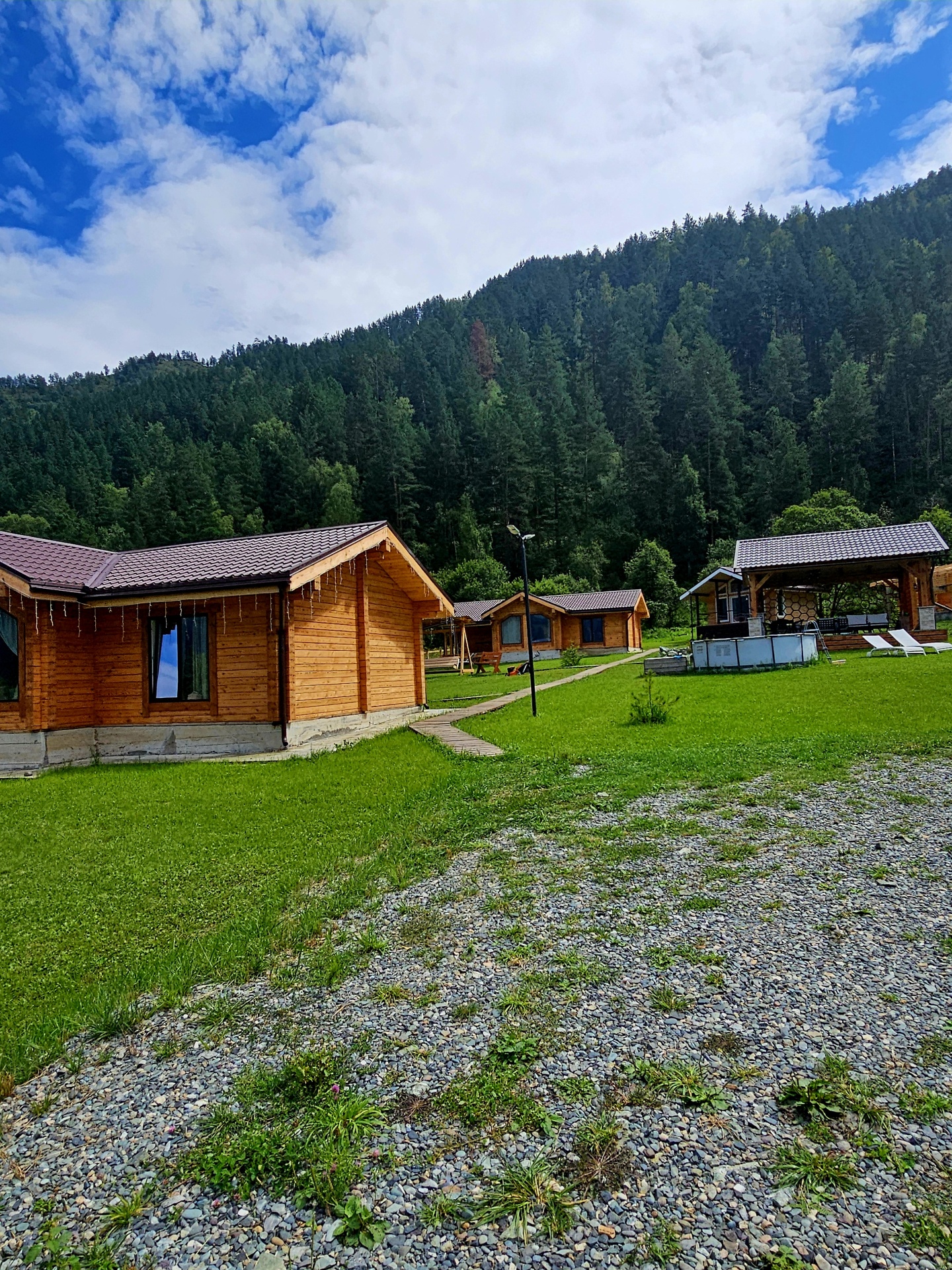 Корни - фото 21