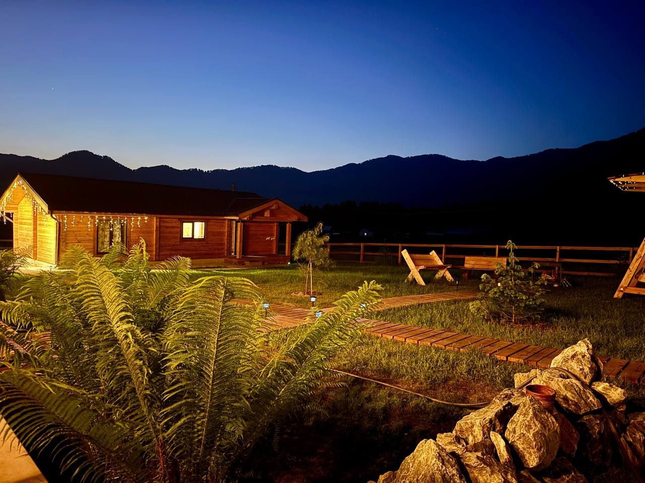 Корни - фото 24