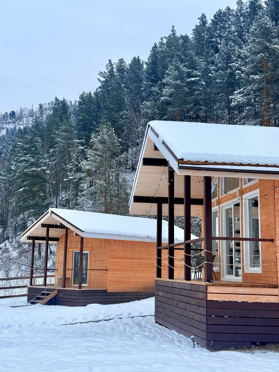 Корни - фото 36