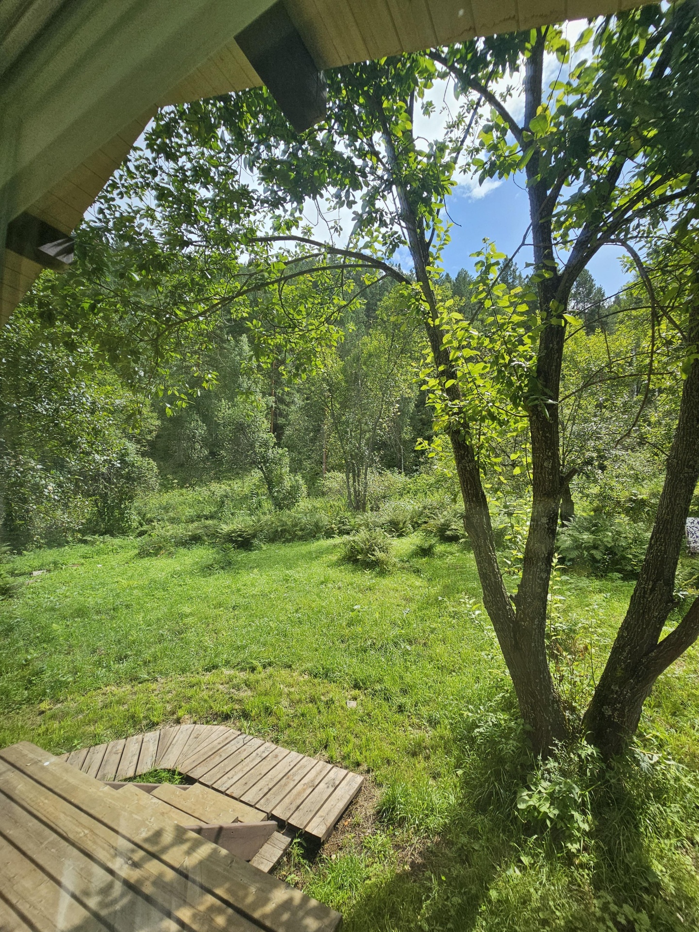 Корни - фото 38