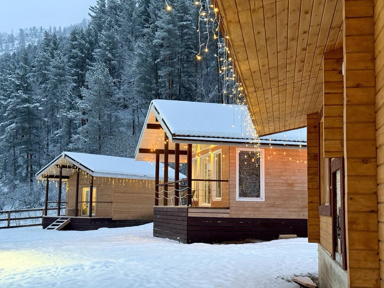 Корни - фото 40