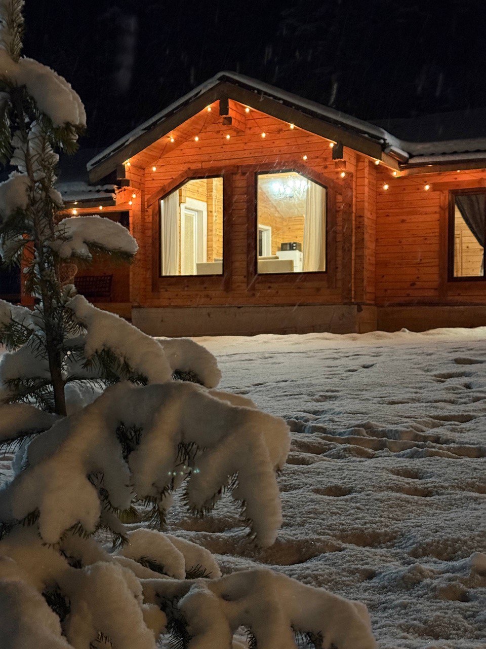 Корни - фото 43