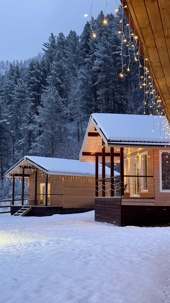 Корни - фото 44