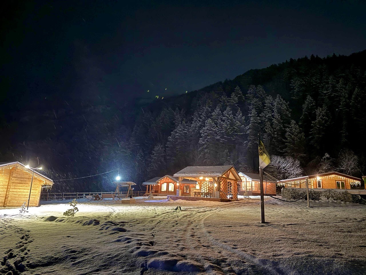 Корни - фото 45