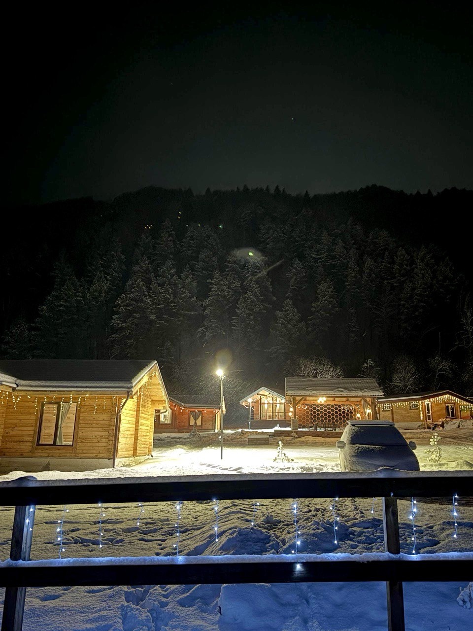 Корни - фото 50