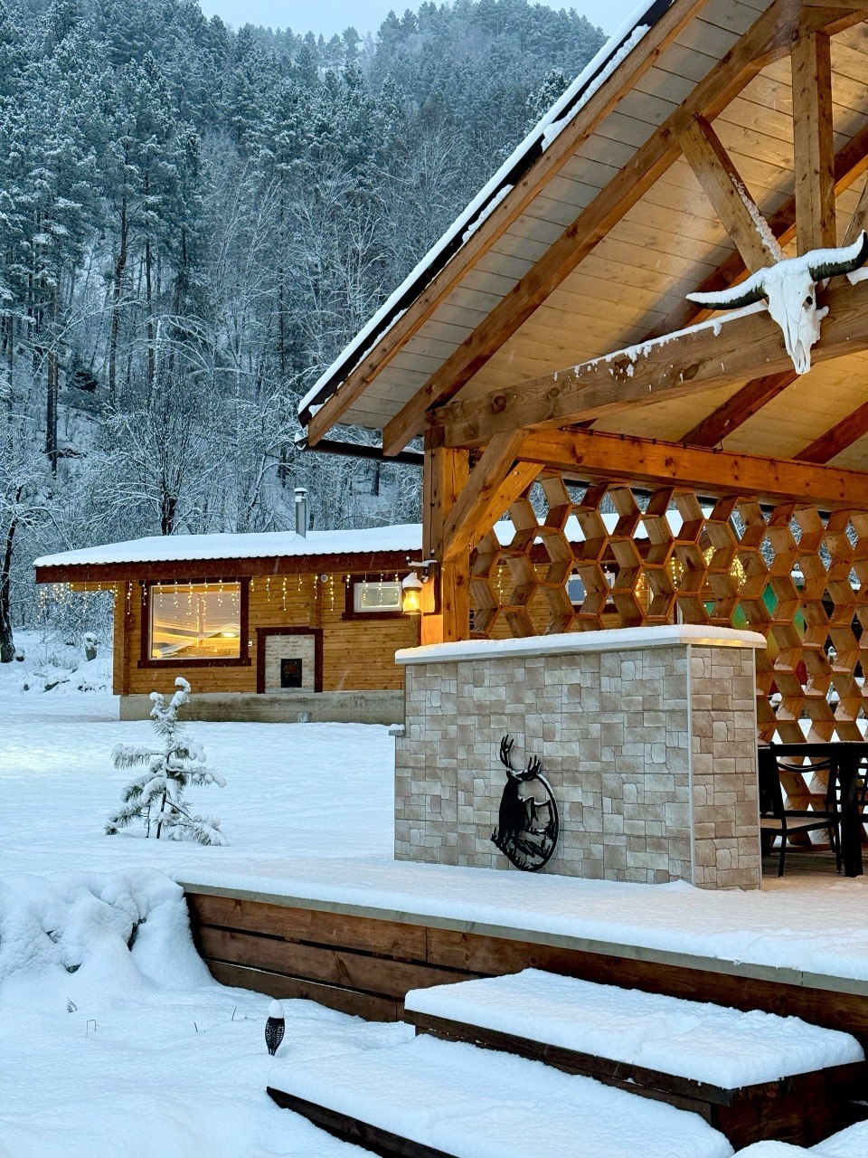 Корни - фото 55