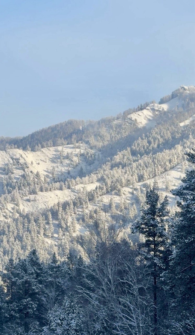 Корни - фото 61