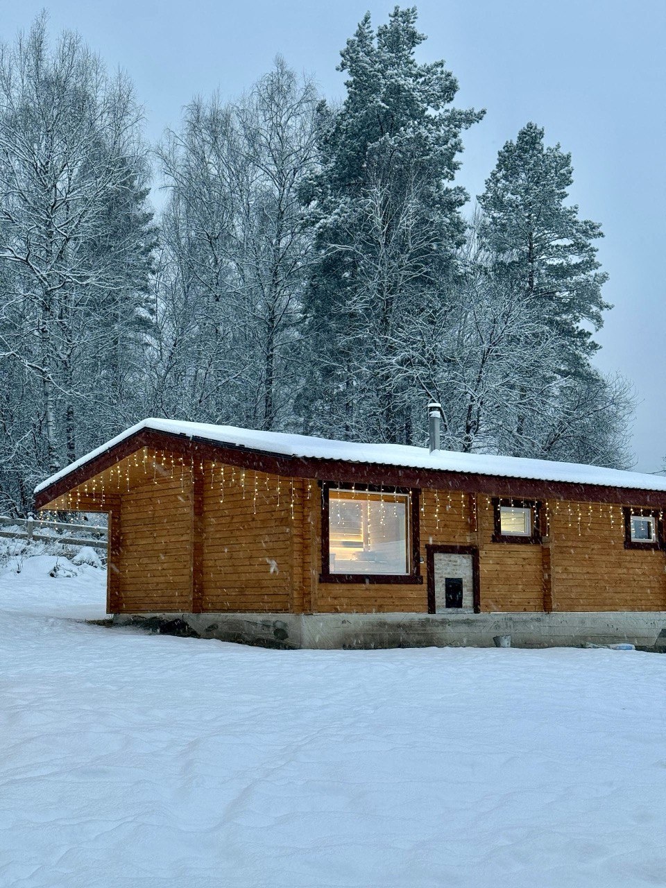 Корни - фото 68
