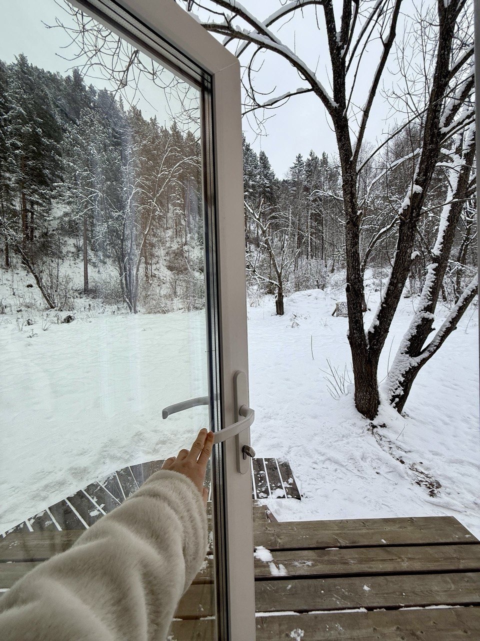 Корни - фото 71