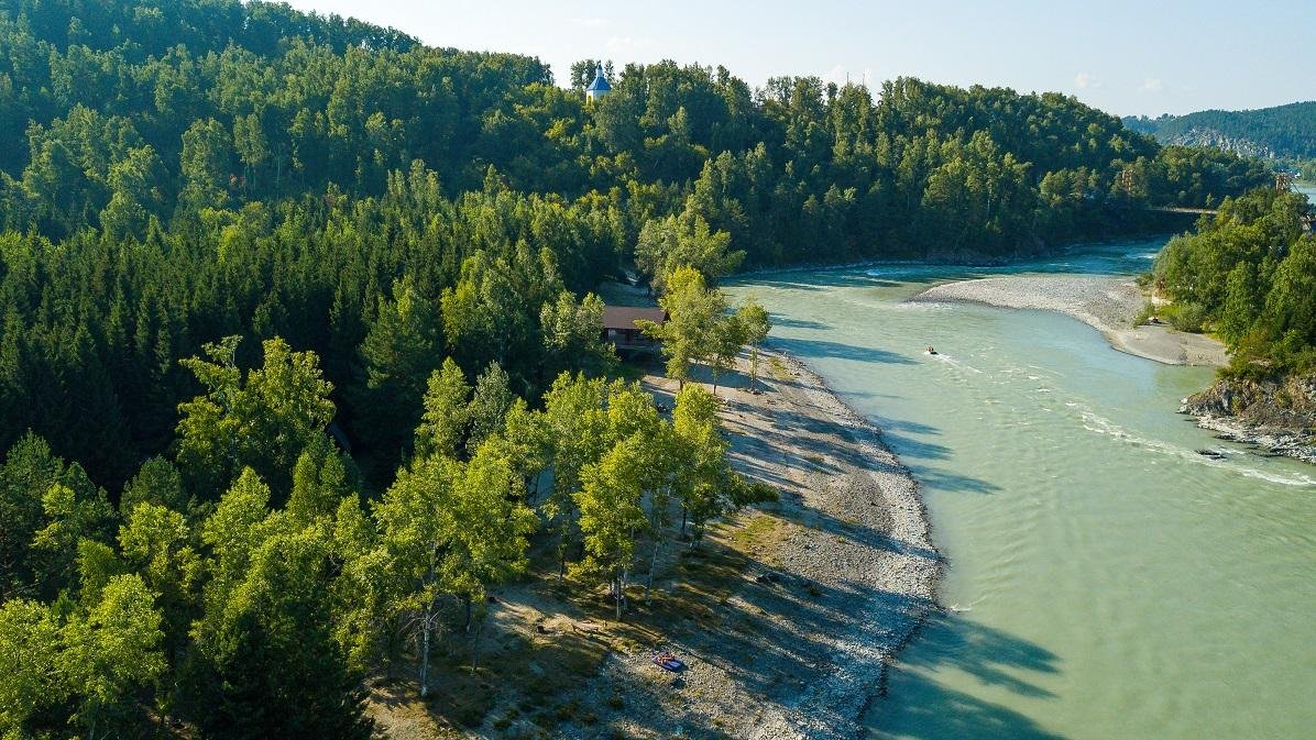 Лесовичок - фото 4