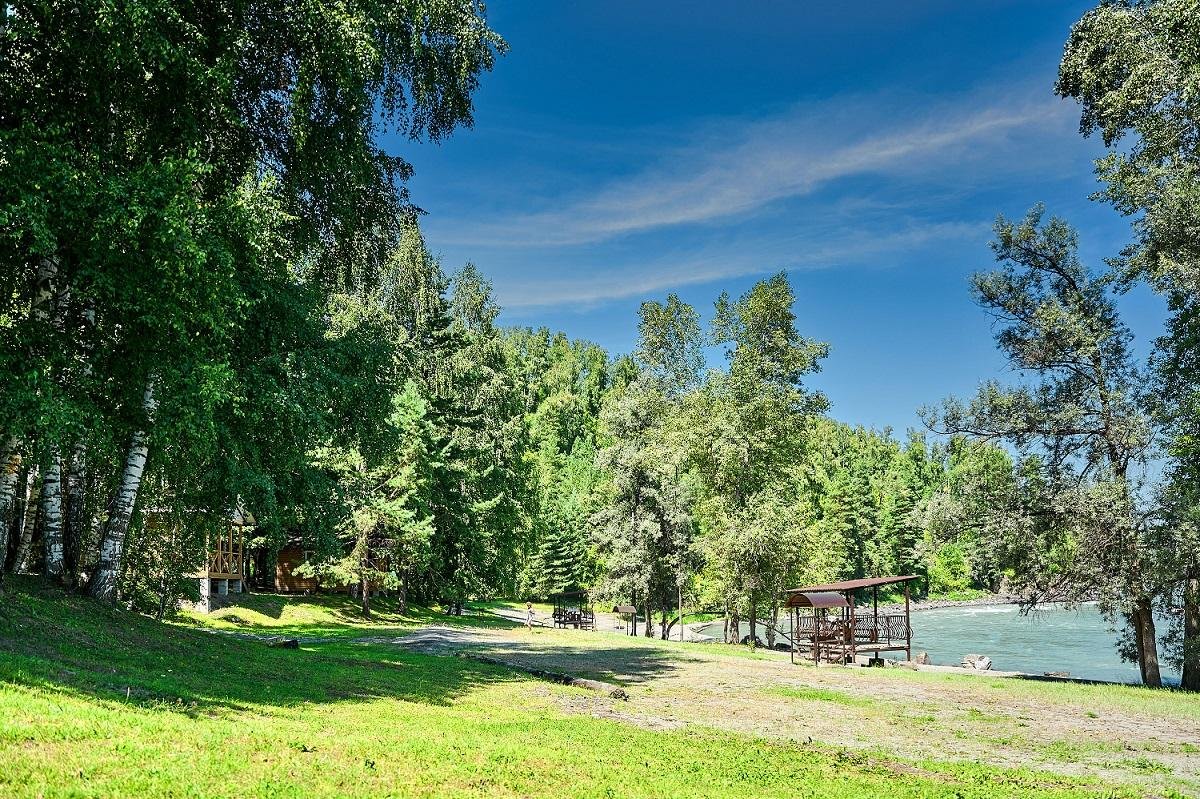 Лесовичок - фото 5