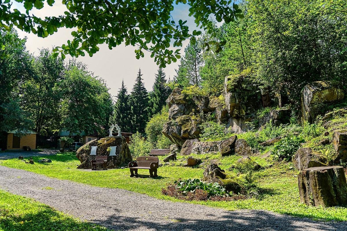 Лесовичок - фото 7