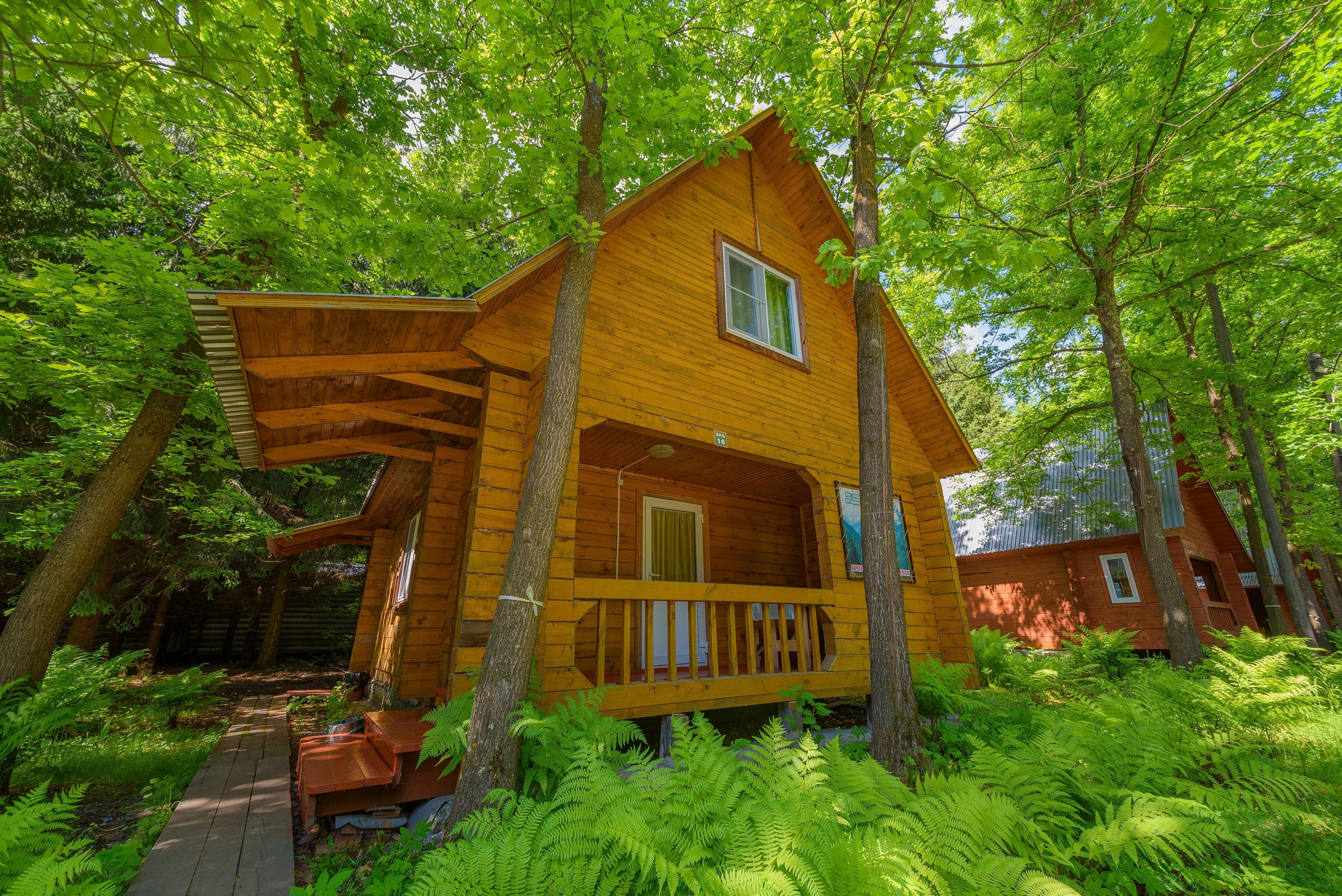 Лесовичок - фото 9