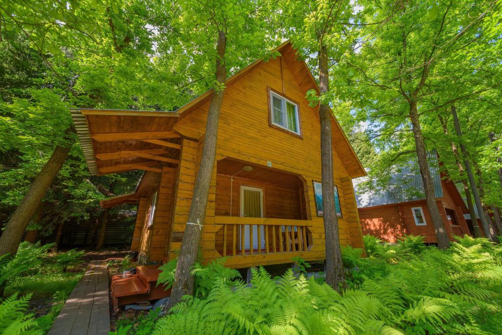 Лесовичок - фото 9